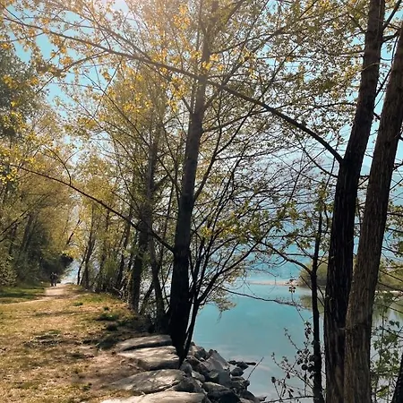 Daire Residenza Valentino Locarno
